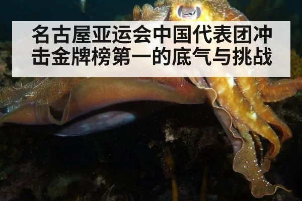 名古屋亚运会中国代表团冲击金牌榜第一的底气与挑战
