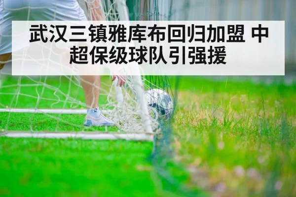 武汉三镇雅库布回归加盟 中超保级球队引强援